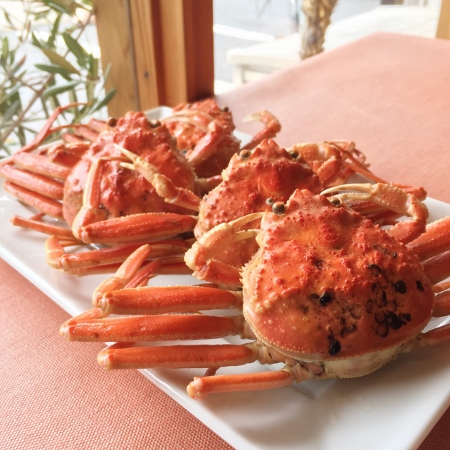 S__20029468 (450x450) (450x450)